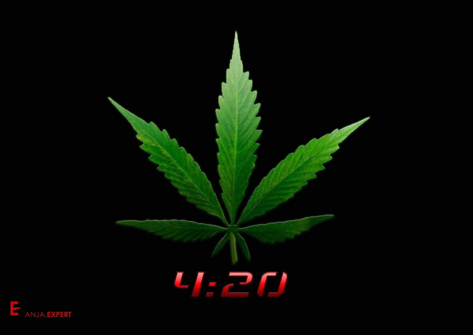 Вечеринки конопли