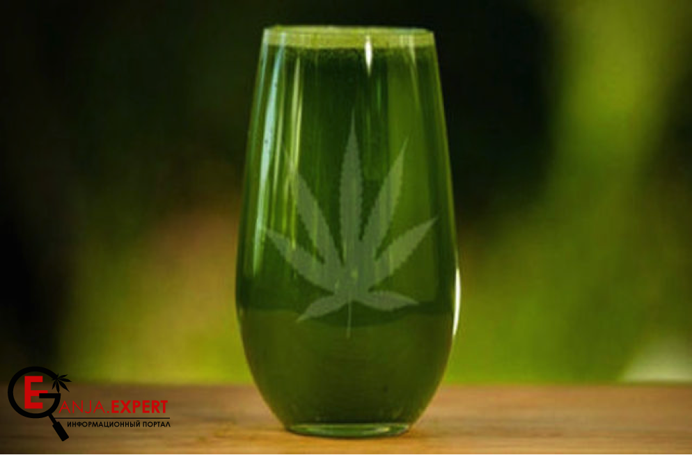 Лечебное масло конопли