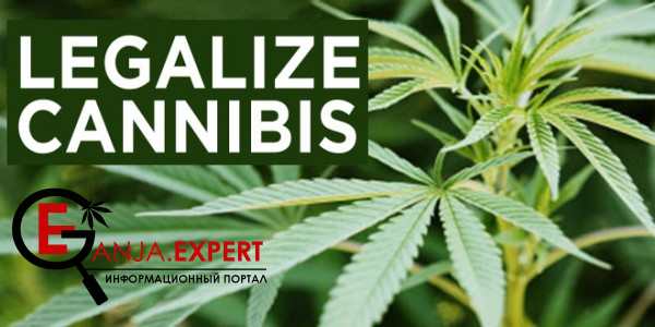 Страны мира, в которых разрешена конопля