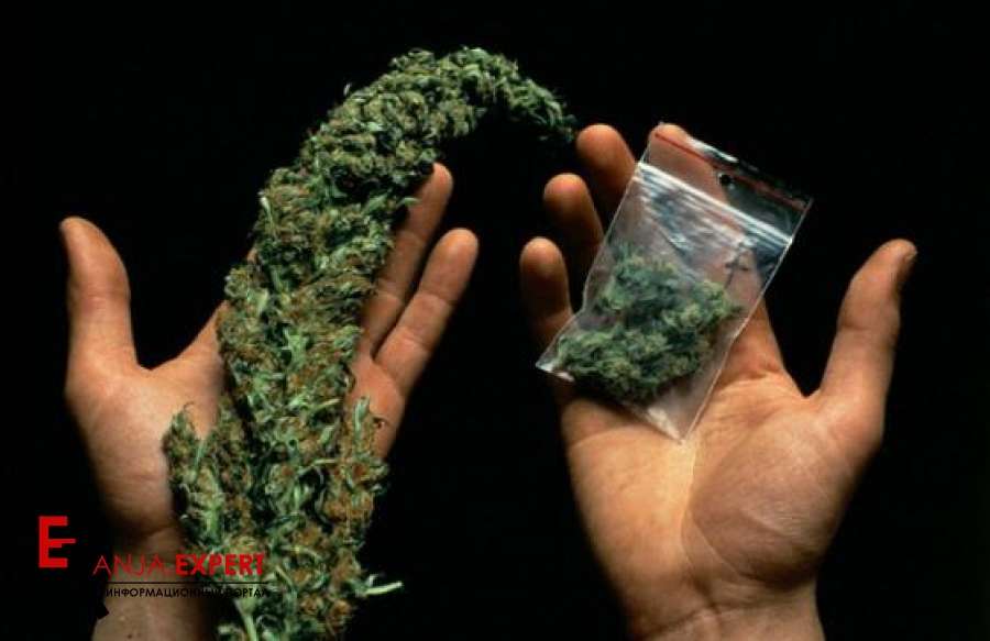 ать покупатель конопли