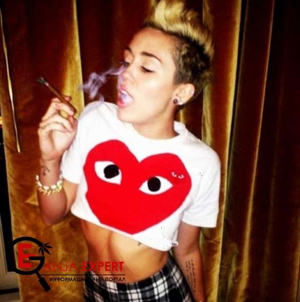 Майли Сайрус курит травку во время концертов