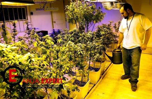 detail_3877ab86578f05dbd5e70ca50c62801f