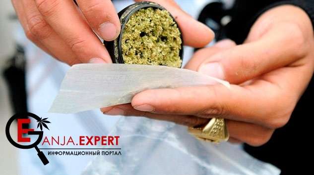 В Америке Орегоне, людям нельзя перевозить с собой коноплю