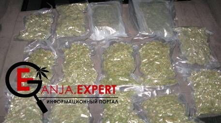 Конопля в багажнике