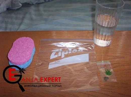 Методика D. Sanches для культивации конопли