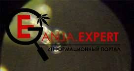 Прозрачные трихомы конопли