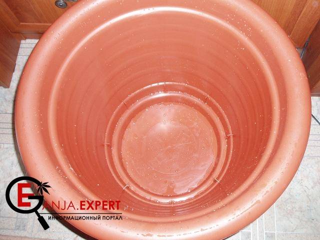 Горшок для марихуаны