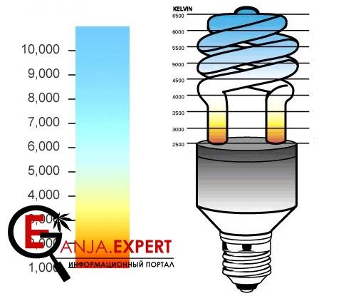 Мощь лампы энергосбережения (КЛЛ), Вт