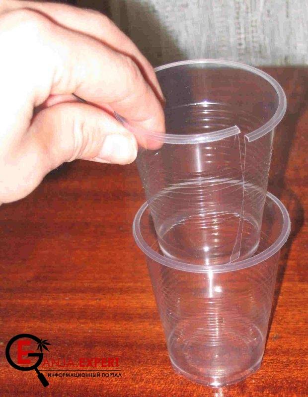 Одноразовые стаканчики для рассады конопли