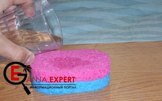 Полить губки водой из стакана около 100 мл и дать воде равномерно пропитать обе губки