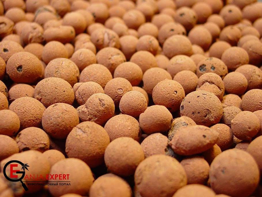 Подготовка керамзита для посадки конопли