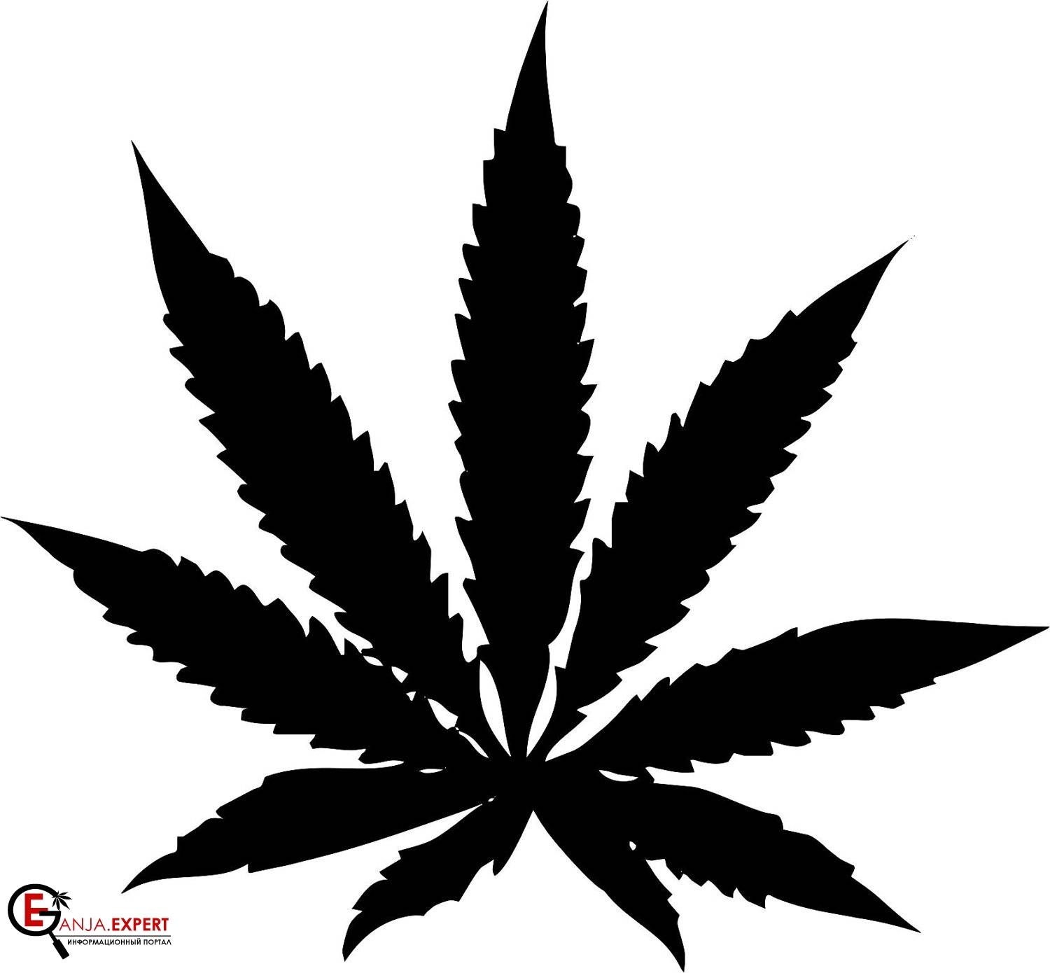 Определение пола растения конопли с помощью бумажного пакета