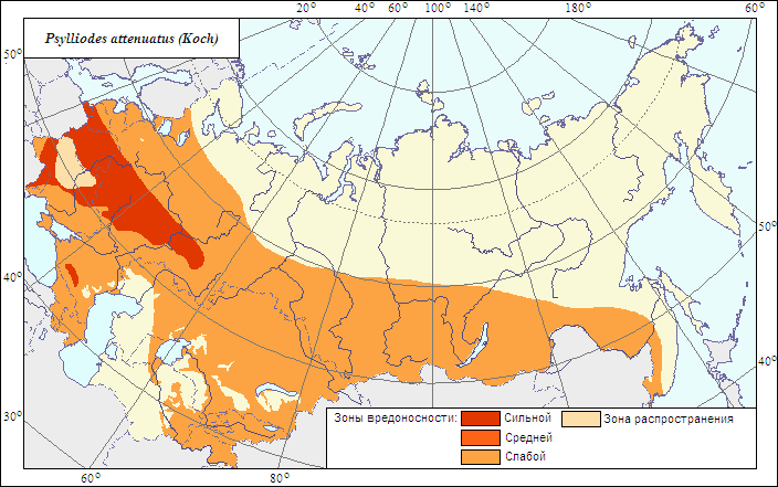 Значение паразитов в хозяйстве