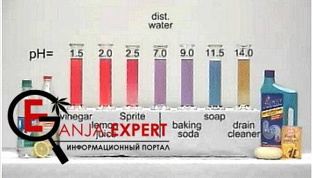 Результаты замером pH для каннабиса