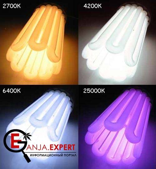 Температура света Т, К (Кельвин)