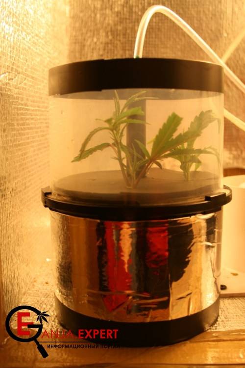 Недорогой АЭРО – Клонэр марихуаны своими руками