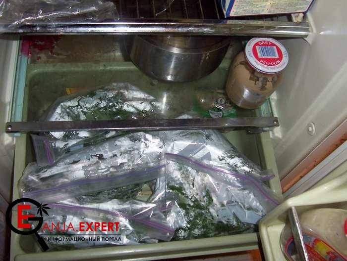 Хранение клонов марихуаны