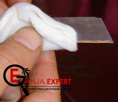 Срез и подготовка клонов конопли