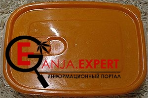 Советы по проращиванию семян конопляной культуры