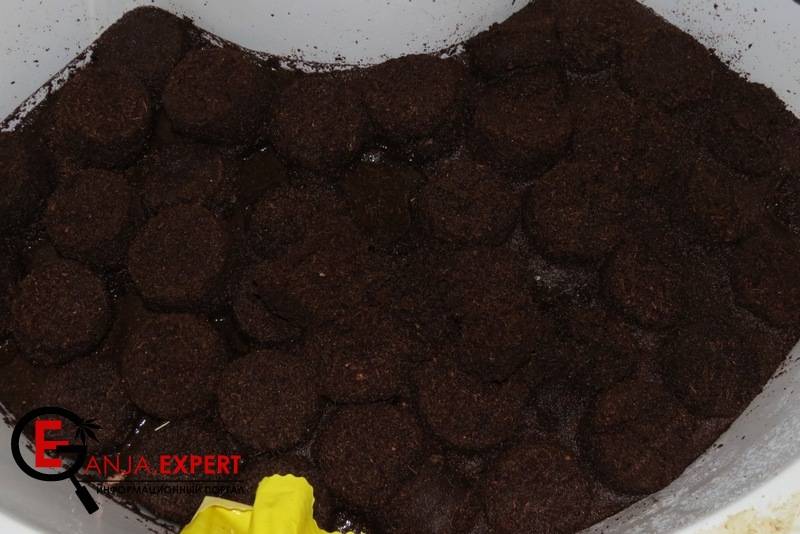 Ванну мойте, вода из крана должна быть не хлорированная