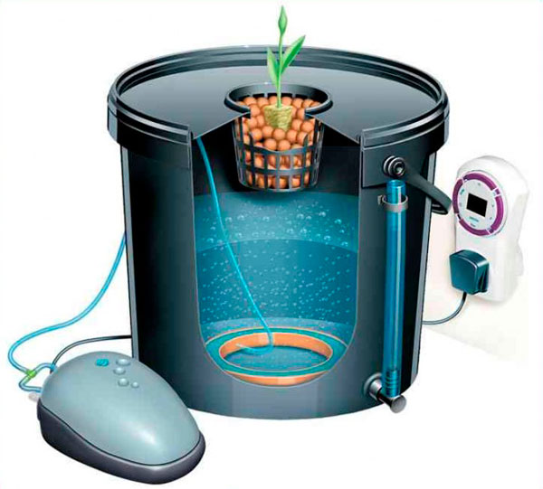 ГИДРОПОНИКА ОТ “А“ ДО “Я“ ЧАСТЬ 1