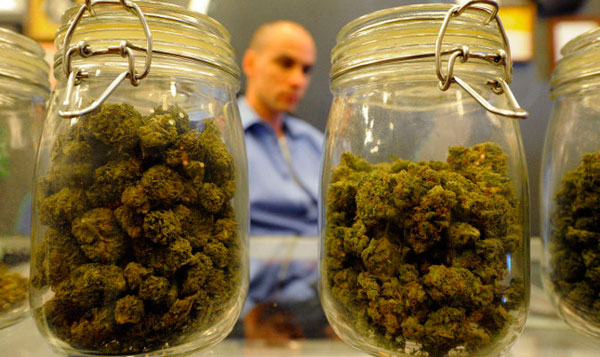 Страны, в которых легализировано употребление марихуаны