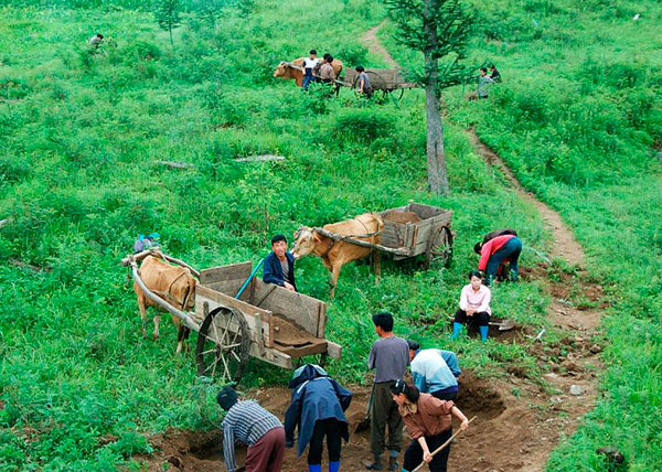 Страны, в которых легализировано употребление марихуаны