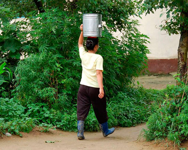 Страны, в которых легализировано употребление марихуаны