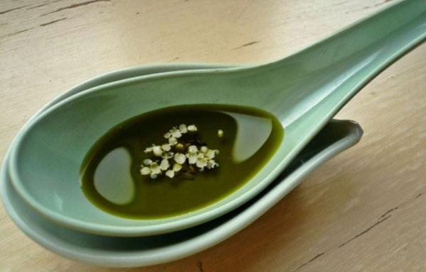 Конопля и организм человека, влияние и польза