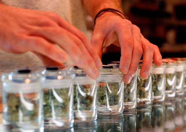 Применять марихуану во время беременности, как средство от тошноты?