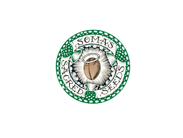 SomaSeeds: Как здесь выращивают марихуану