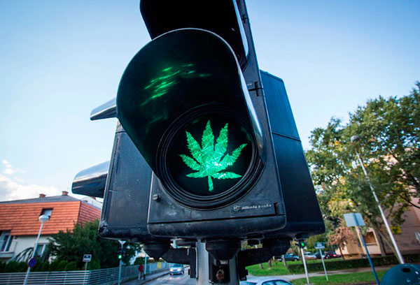 Конопля и психоделические вещества признаны самыми безопасными