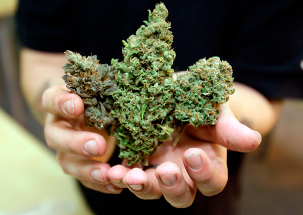 Стоп рак! или Наркотики лечат рак