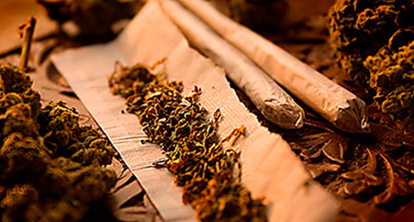 Марихуана - долголетие пожилых людей