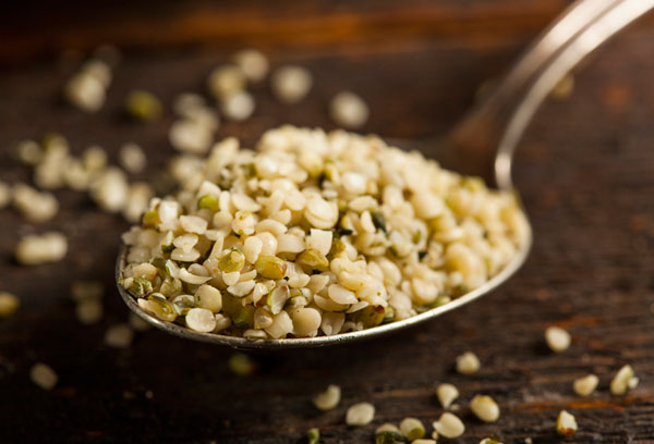 Семена конопли могут все