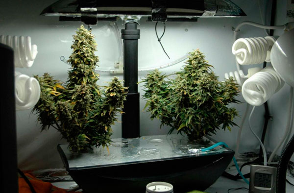 Готовимся к своему первому индору