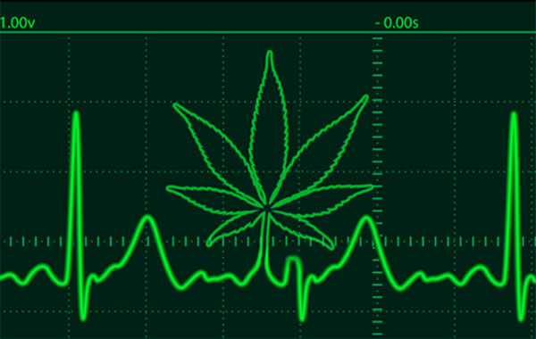 Как каннабис влияет на восприятие музыки