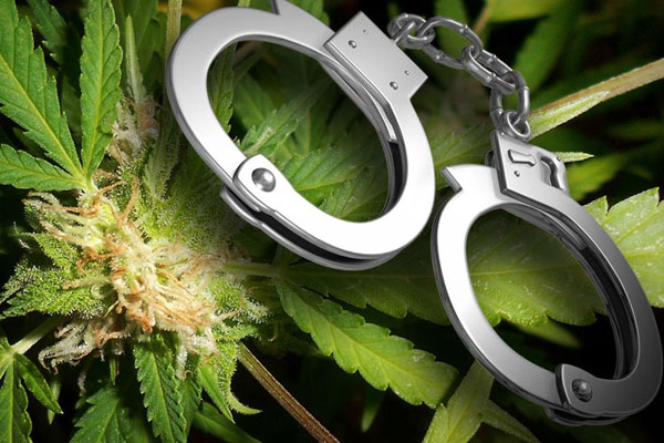 Предпосылки к законодательному одобрению промышленной конопли