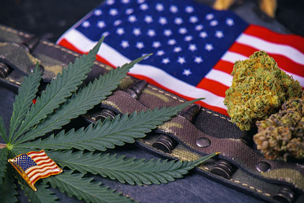 Воины-ветераны Америки требуют легализации медицинской конопли