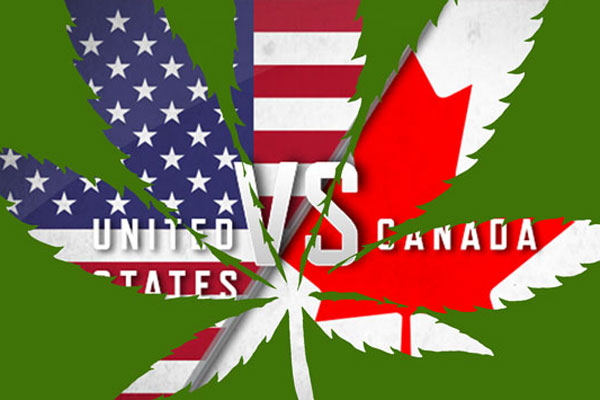 Перспектива культивации промышленной конопли в Америке