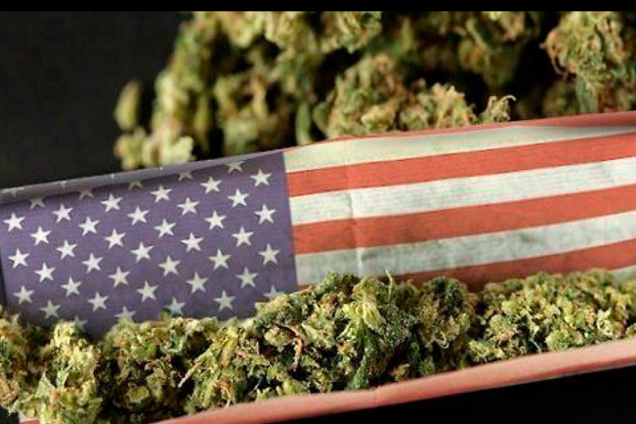 Американская конопляная лихорадка