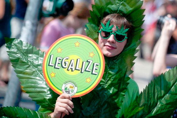 Латвия накануне каннабисной революции