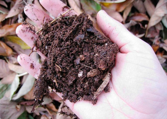 Листовая земля 