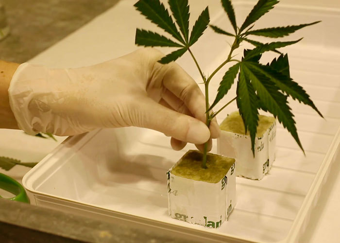 Минеральная вата