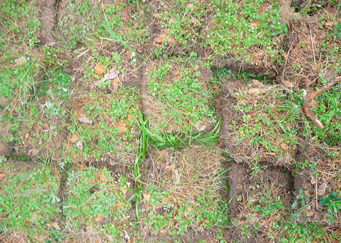 Дерновая земля