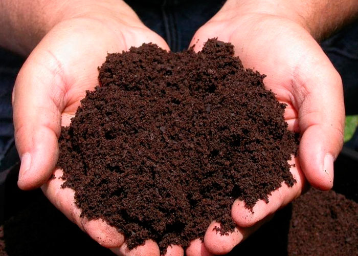 Торфяная земля