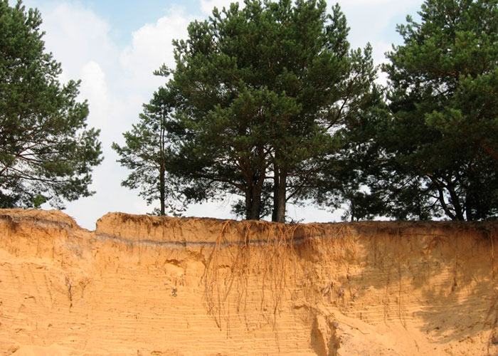 Песчаная земля