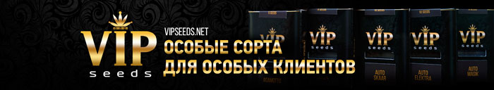 Семена конопли