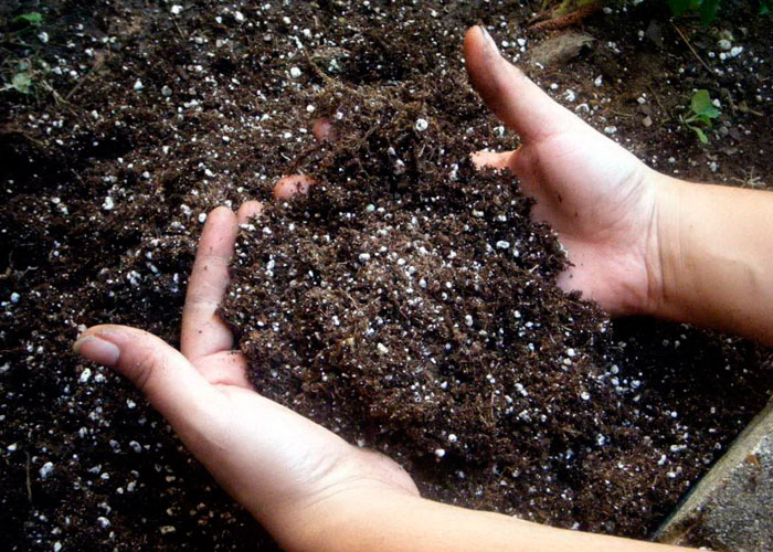 Насыщаем почву азотом