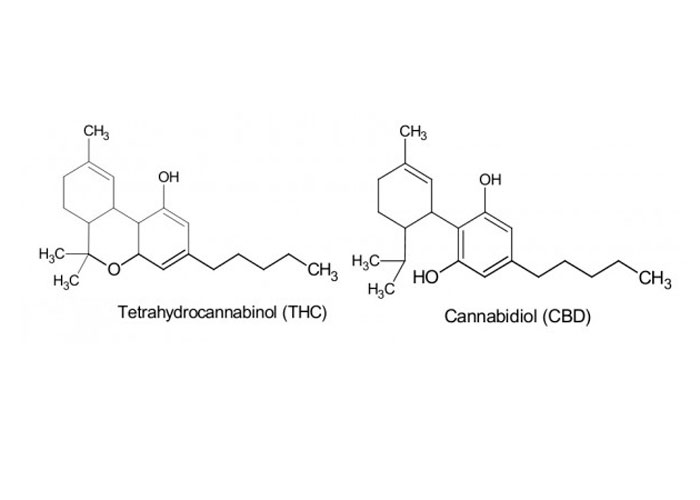 почему КБД не вызывает паранойю